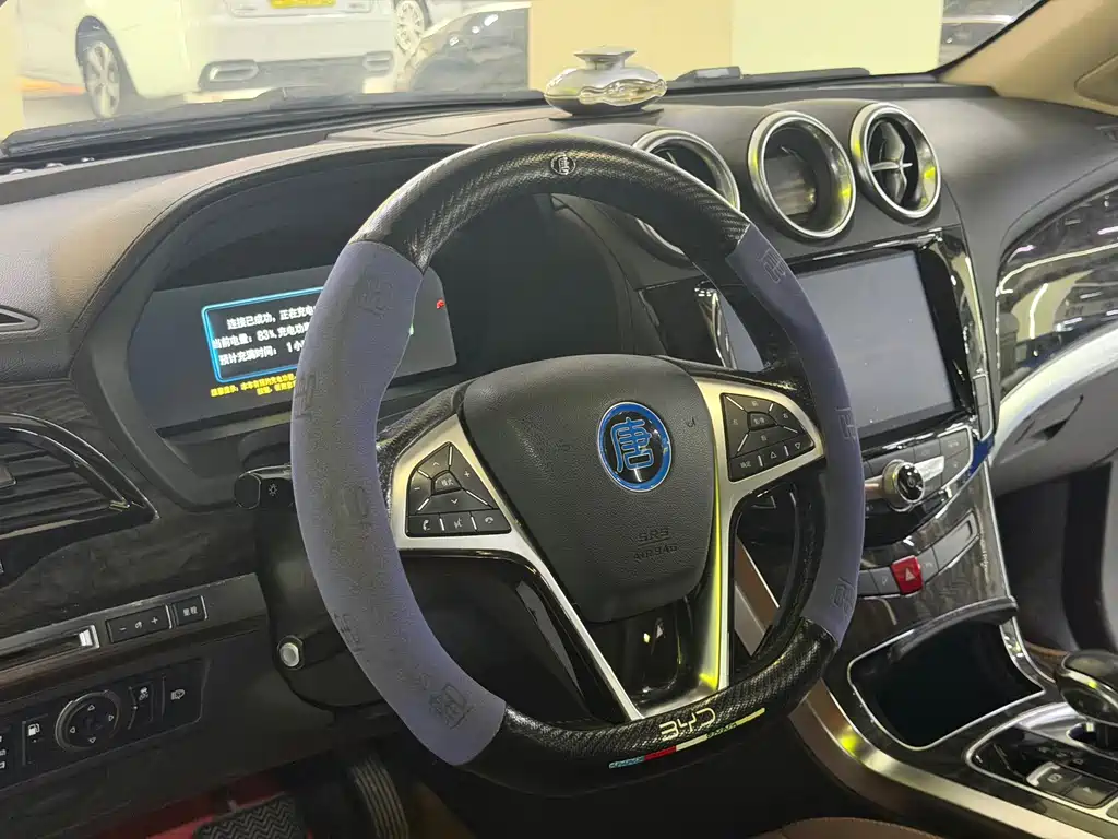 BYD Tang New Energy — миниатюра 12