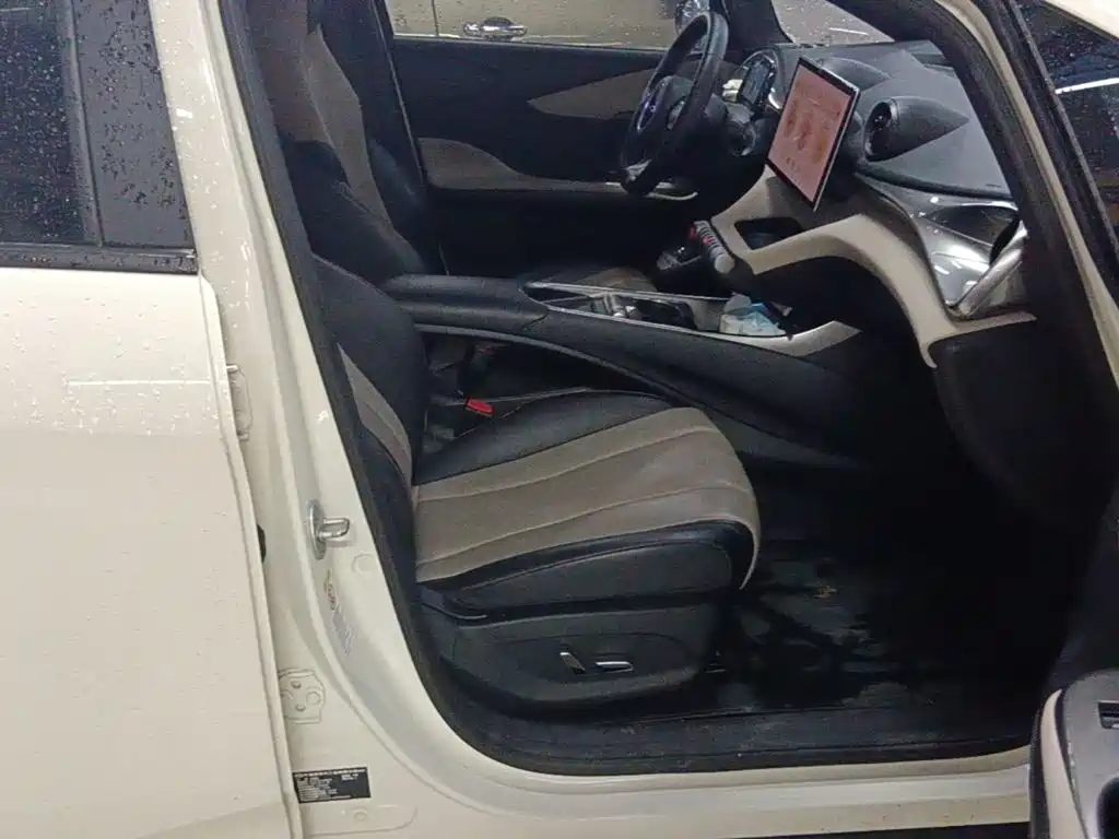 BYD Dolphin — миниатюра 25