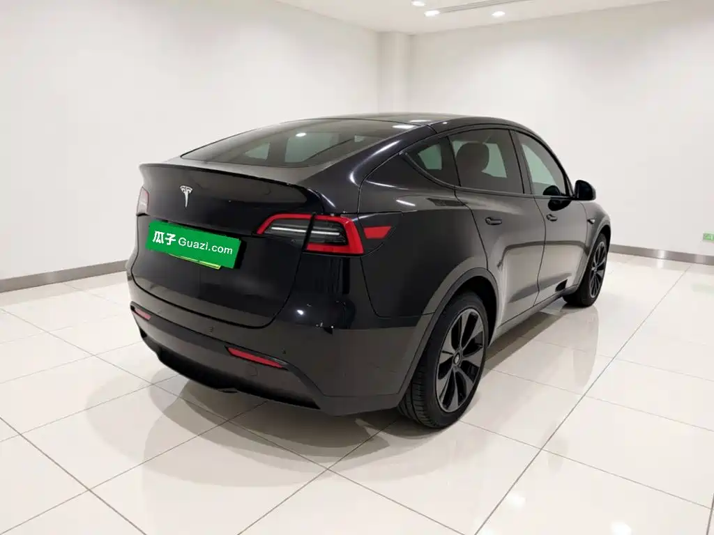 Tesla Model Y — миниатюра 6