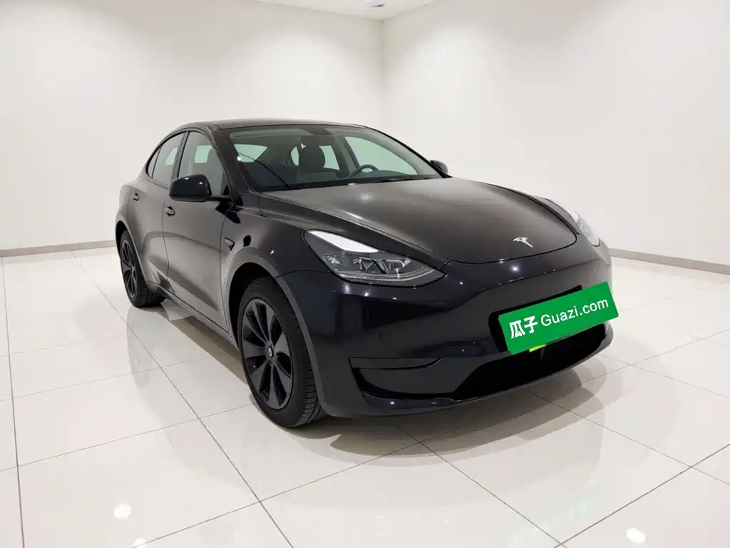 Tesla Model Y — миниатюра 3