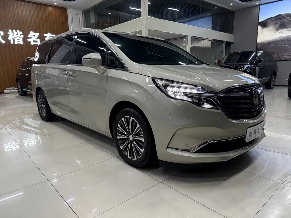Buick GL8 2023 ES Luxury