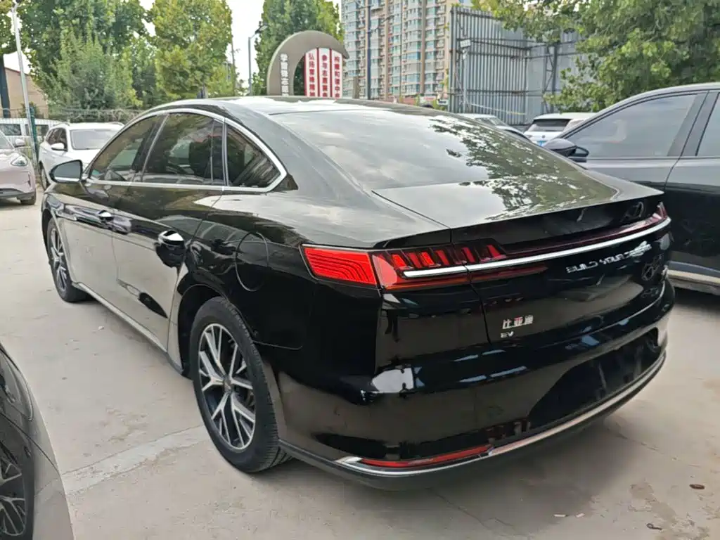 BYD e9 — миниатюра 5