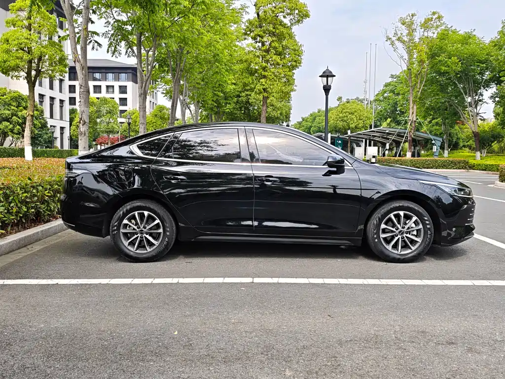 BYD Destroyer 05 2024 DM-i 55KM Luxury