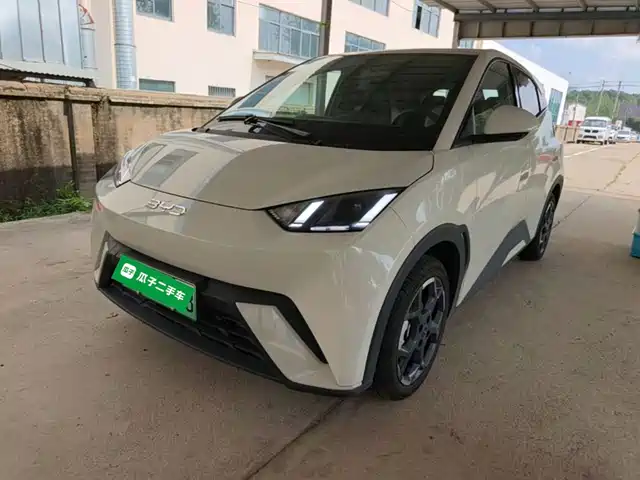 2025 BYD Seagull