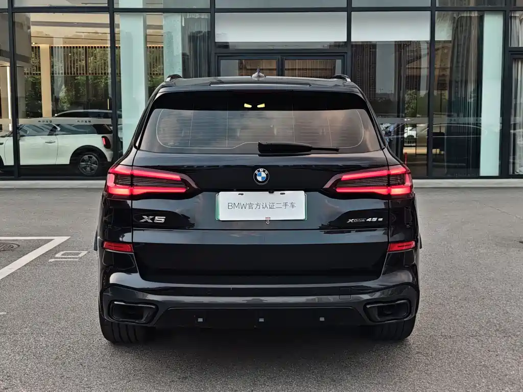BMW X5 New Energy (Import) — миниатюра 3