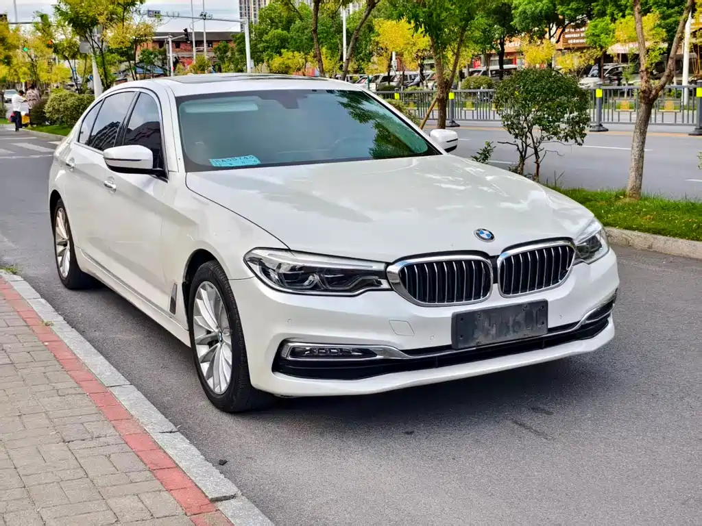 BMW 5 Series (Import) — миниатюра 2