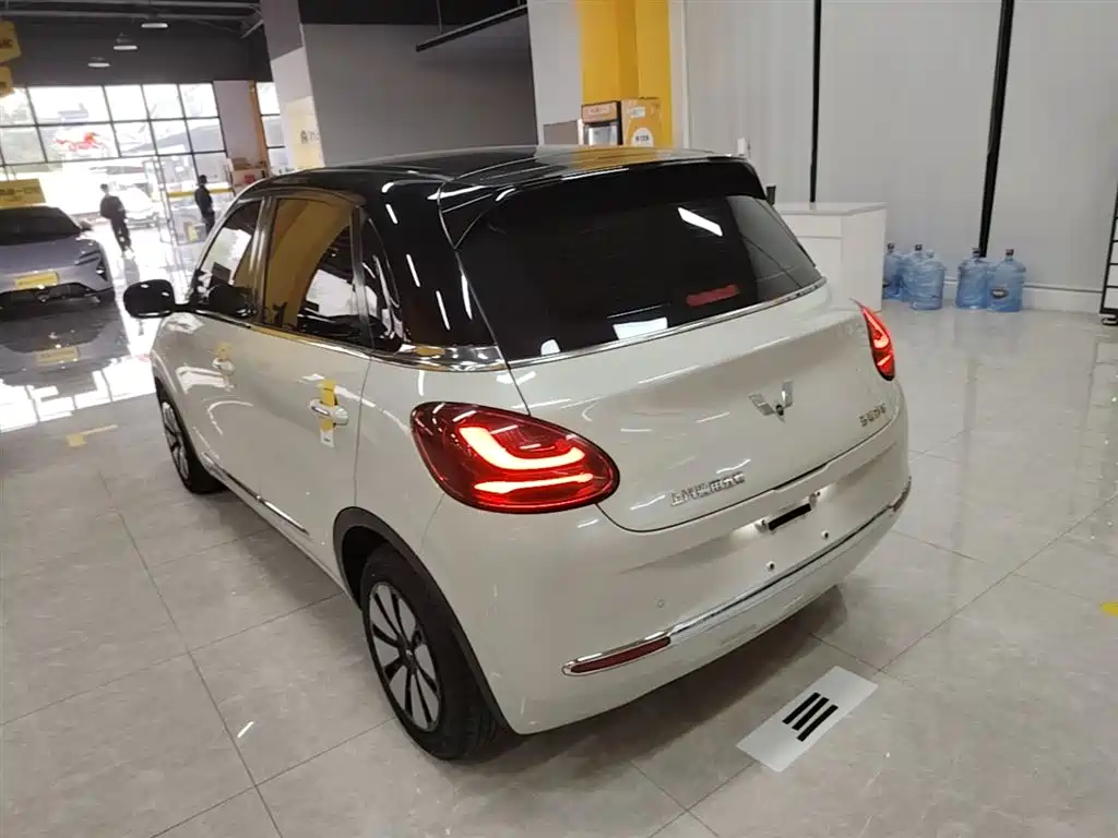 Wuling Binguo 2023 333km +