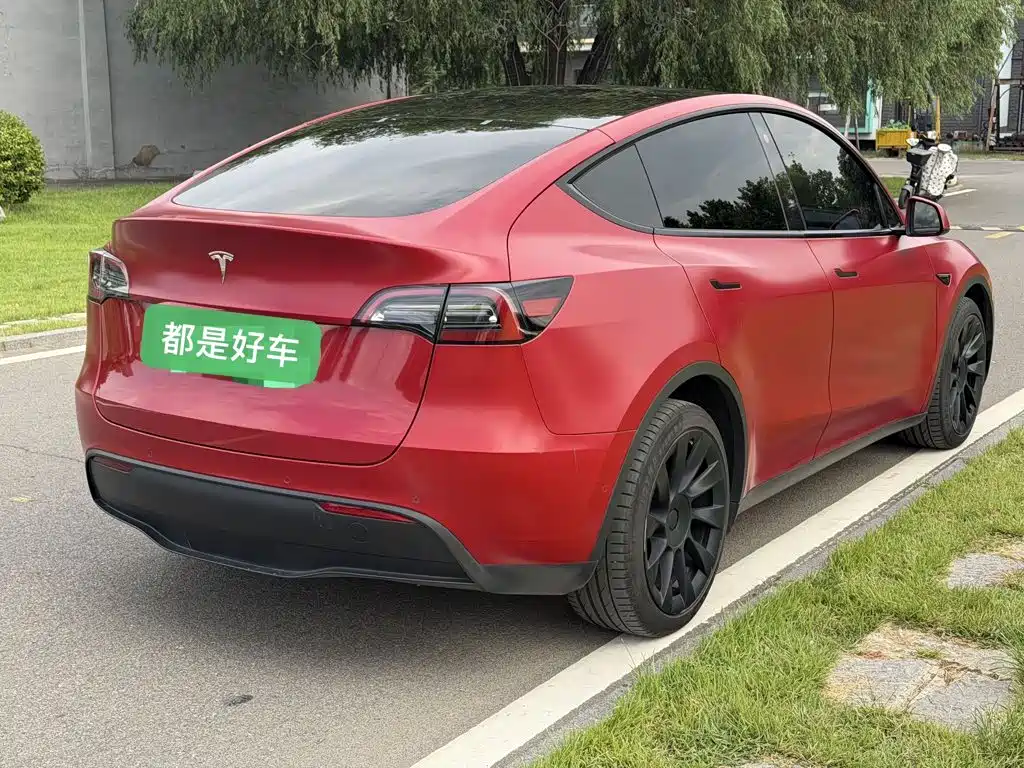 Tesla Model Y — миниатюра 6