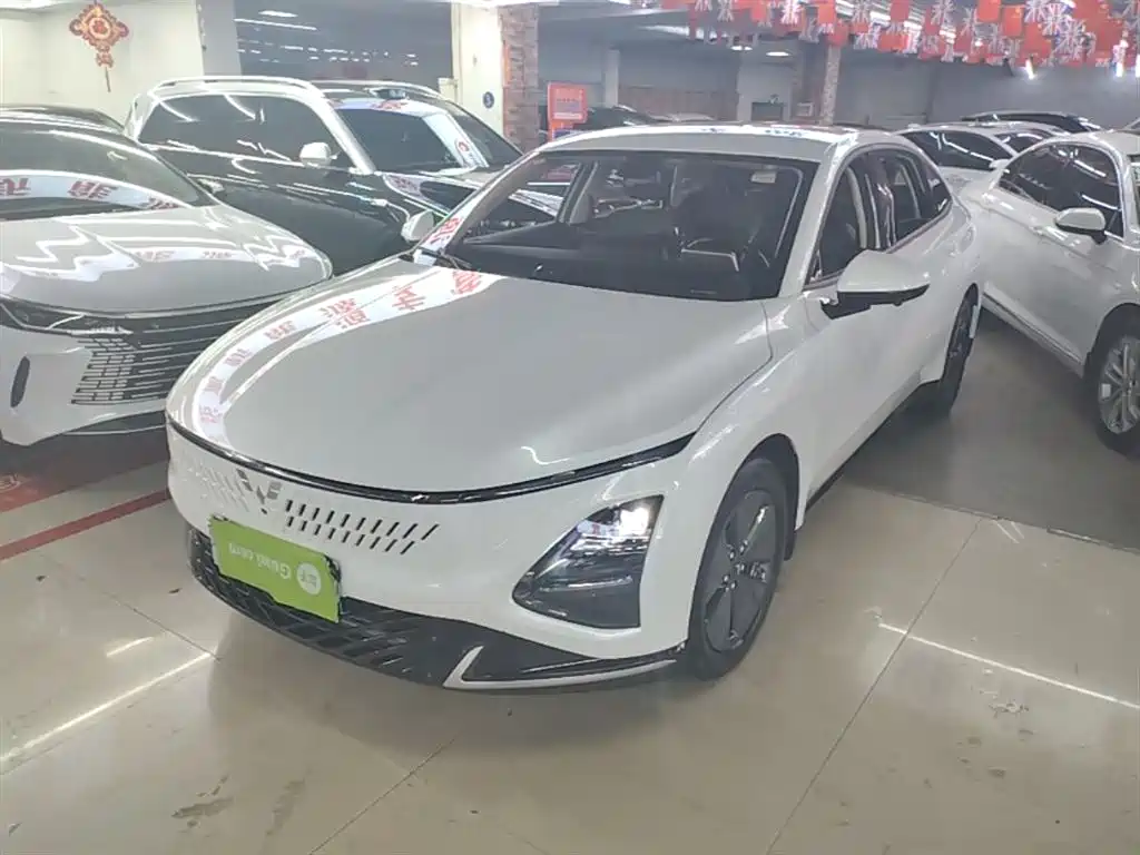 Wuling Xingguang 2024