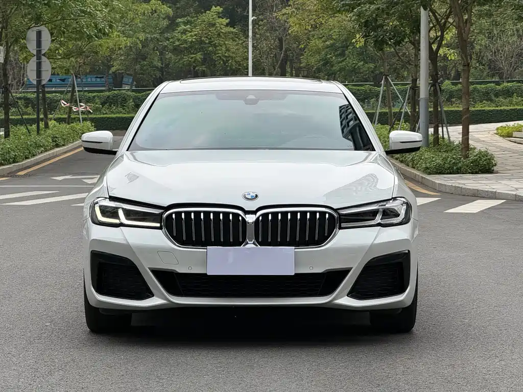 BMW 5 Series 5 2022 530Li Lead M Sport