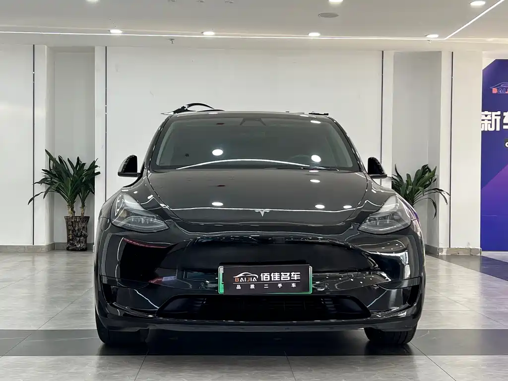 Tesla Model Y — миниатюра 2