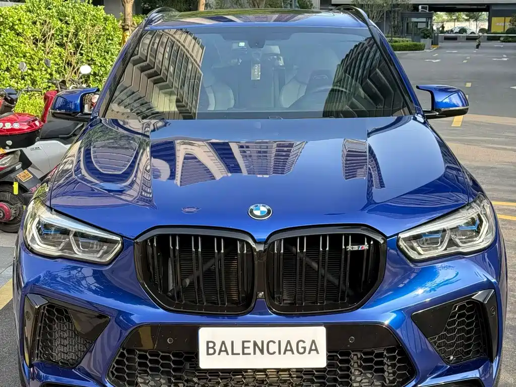 BMW X5 M — миниатюра 2