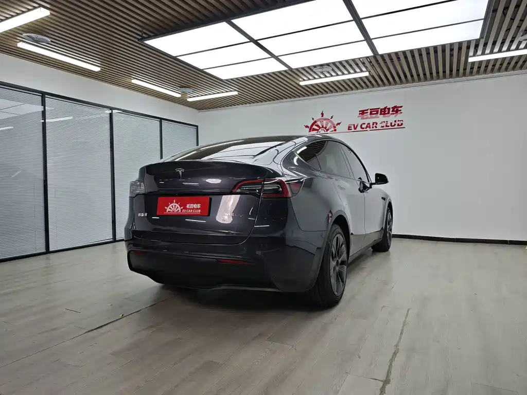 Tesla Model Y — миниатюра 4