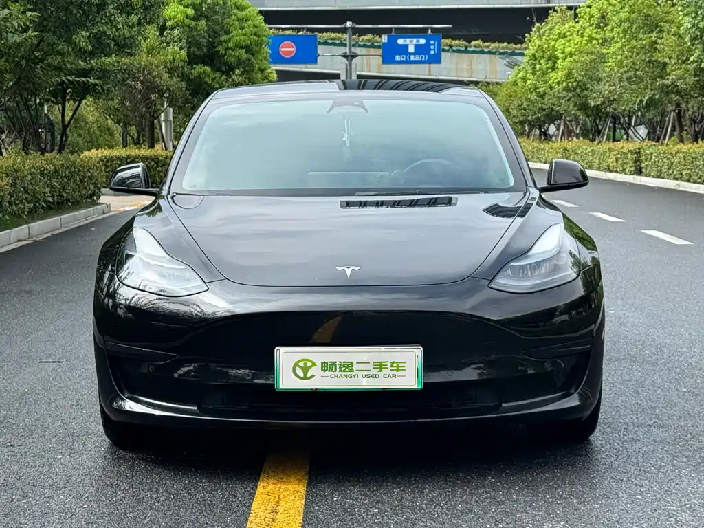 Tesla Model 3 — миниатюра 2