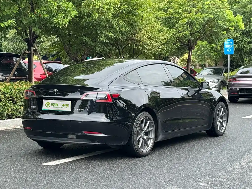 Tesla Model 3 — миниатюра 3