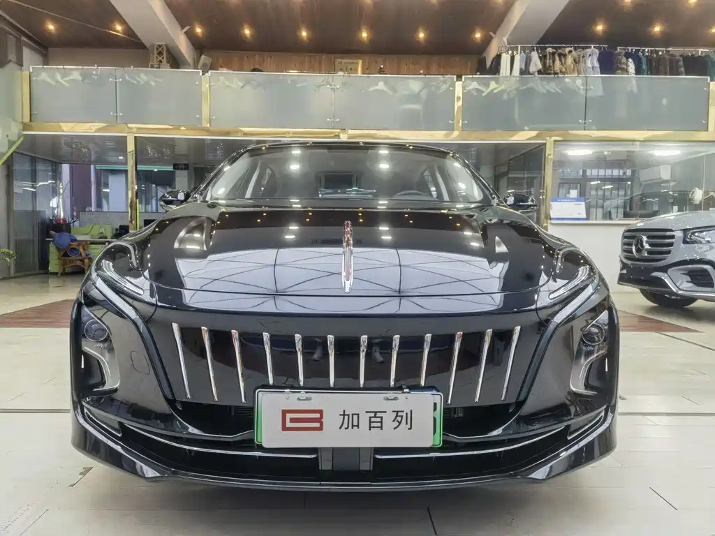 Hongqi HONGQI E QM5