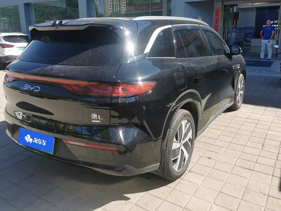 BYD Дон Л. — миниатюра 3