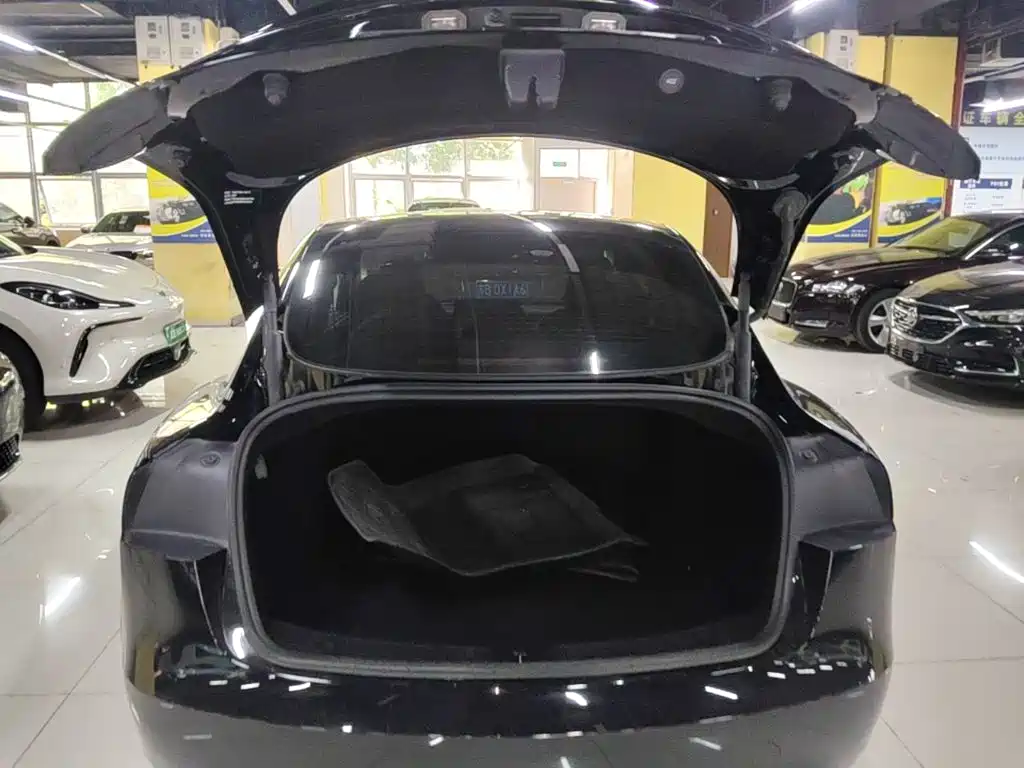 Tesla Model 3 — миниатюра 19