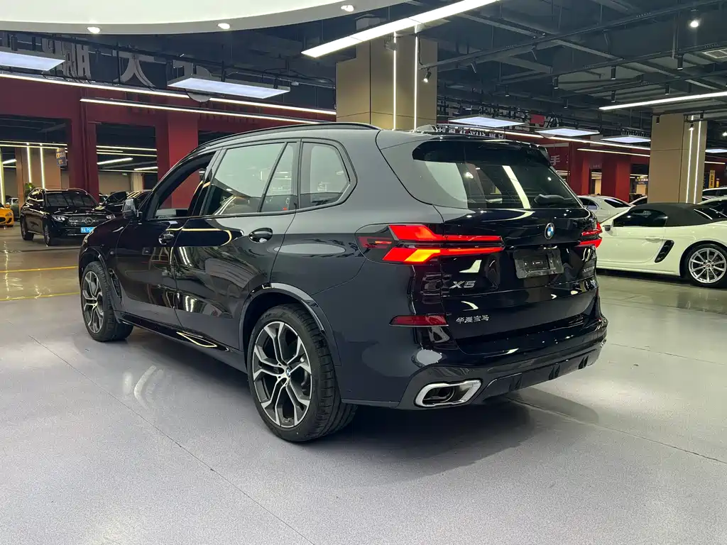 BMW X5 — миниатюра 16