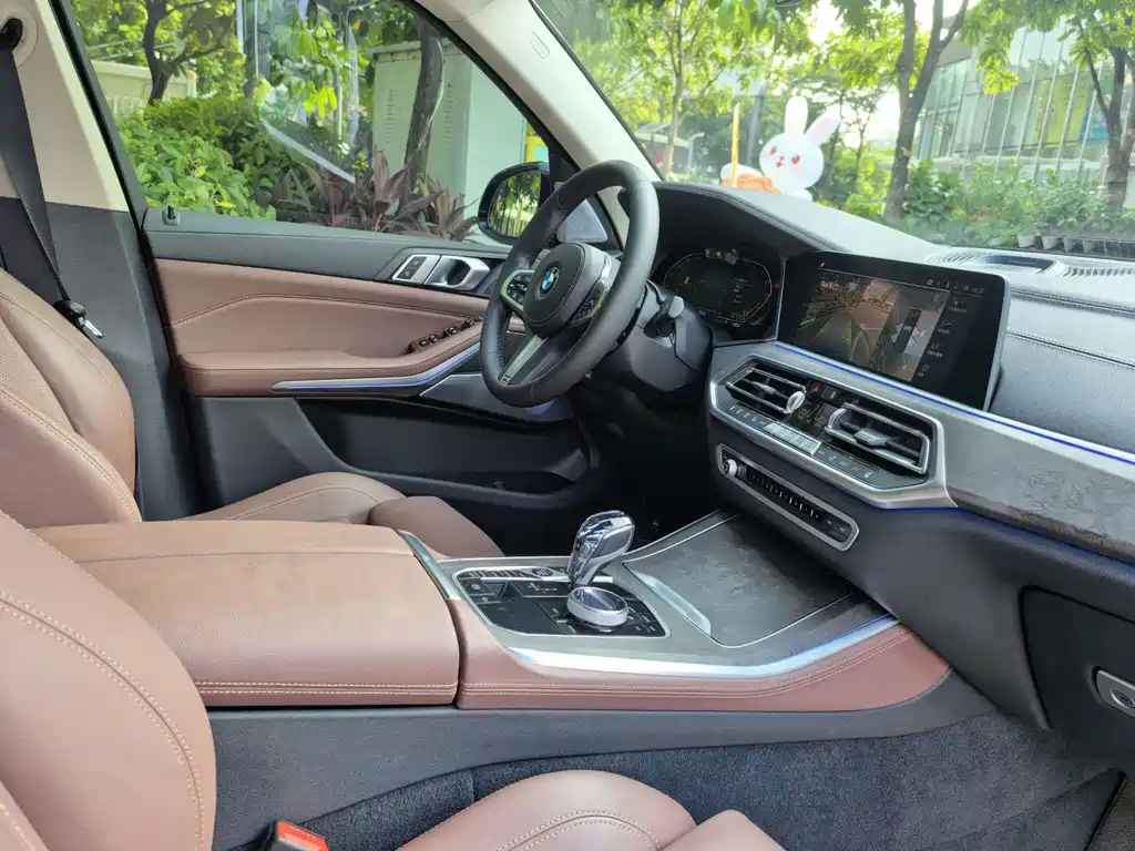 BMW X5 (Import) — миниатюра 21