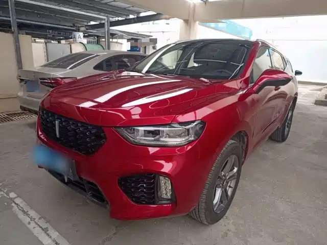 2019 Wey VV5