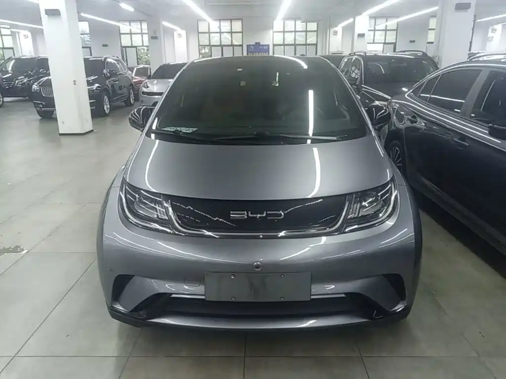 BYD Dolphin — миниатюра 3