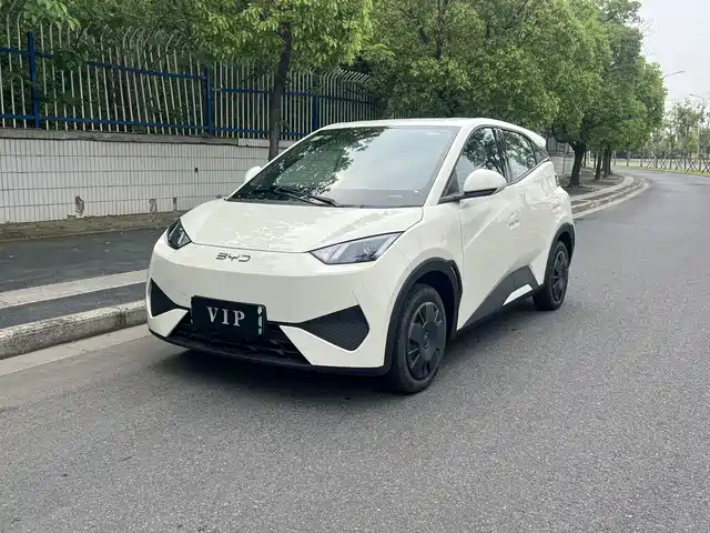 2026 BYD Seagull