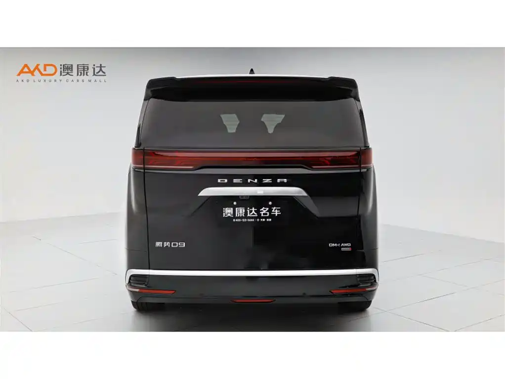 Denza Denza D9 — миниатюра 4