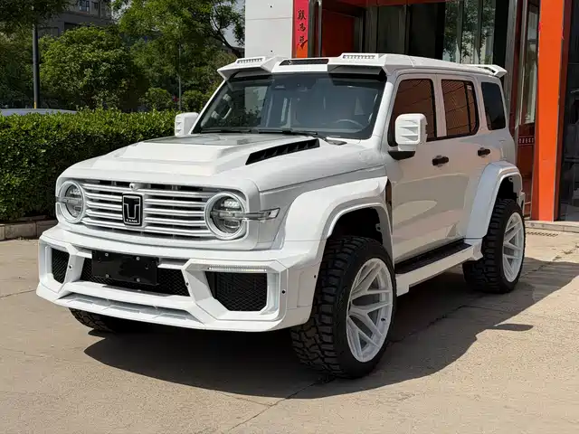 2025 TANK 300