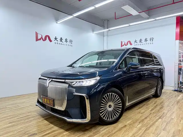 2025 Voyah Dream
