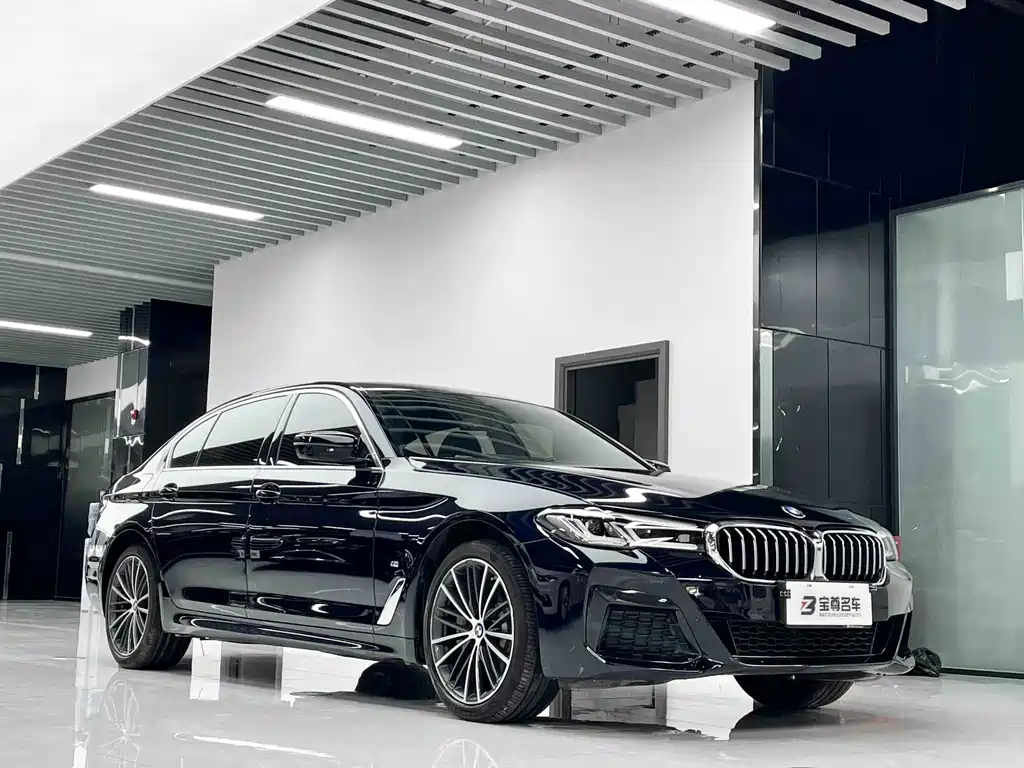 BMW 5 Series — миниатюра 3