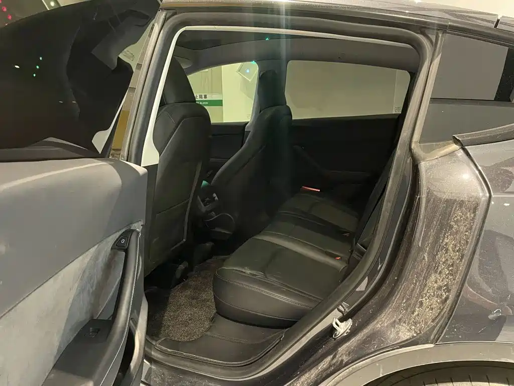Tesla Model Y — миниатюра 17