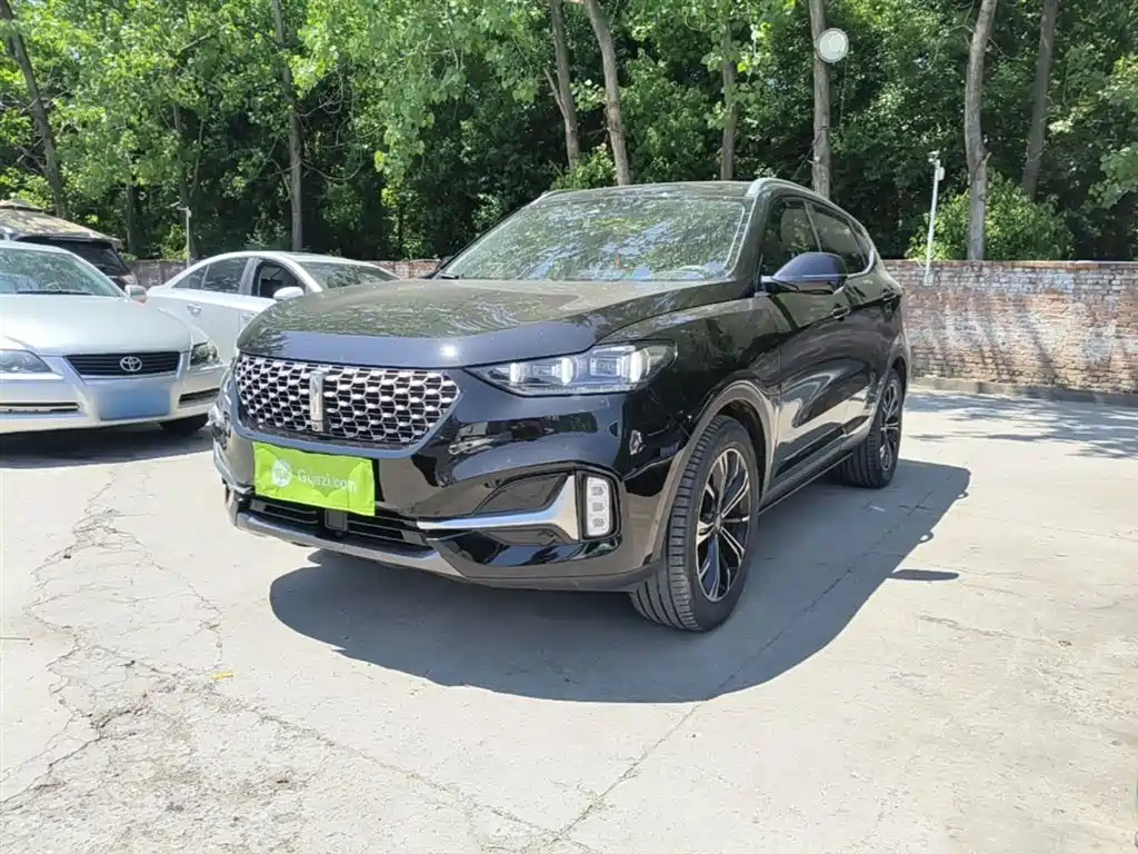 Wey Wey VV6 2020