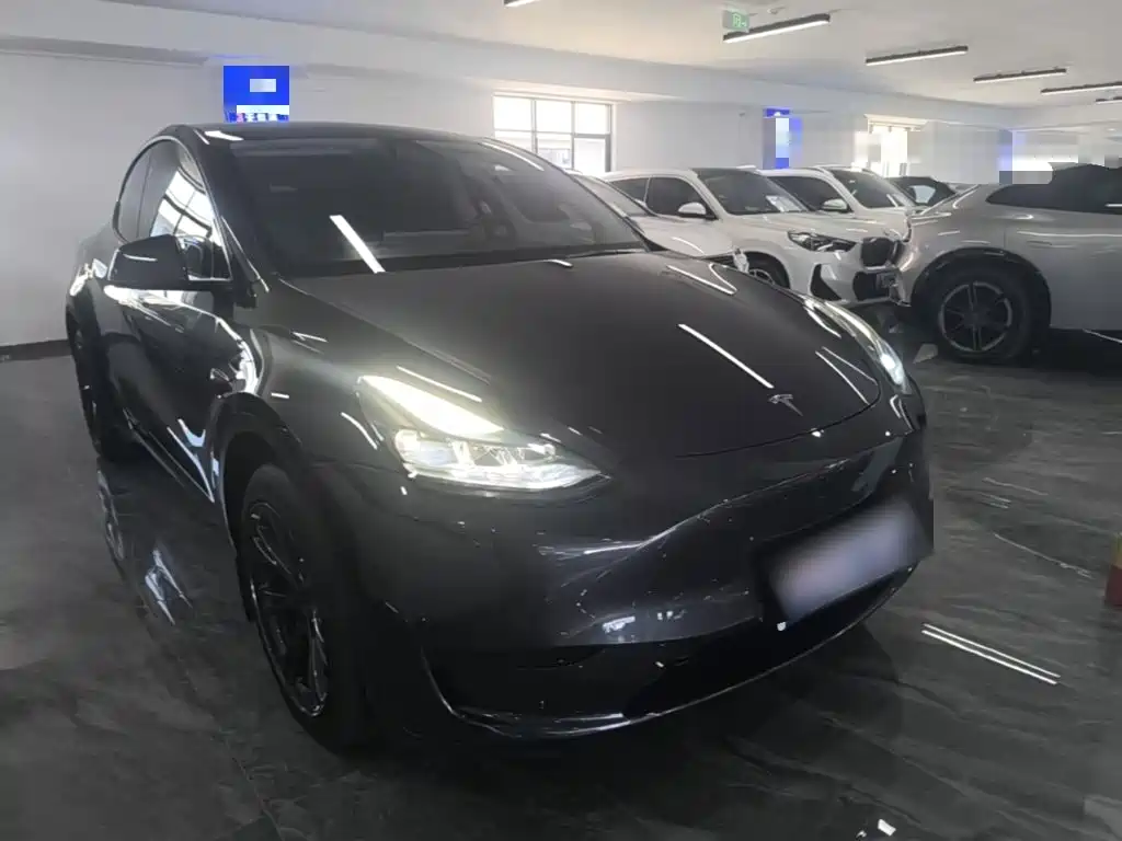 Tesla Model Y — миниатюра 22