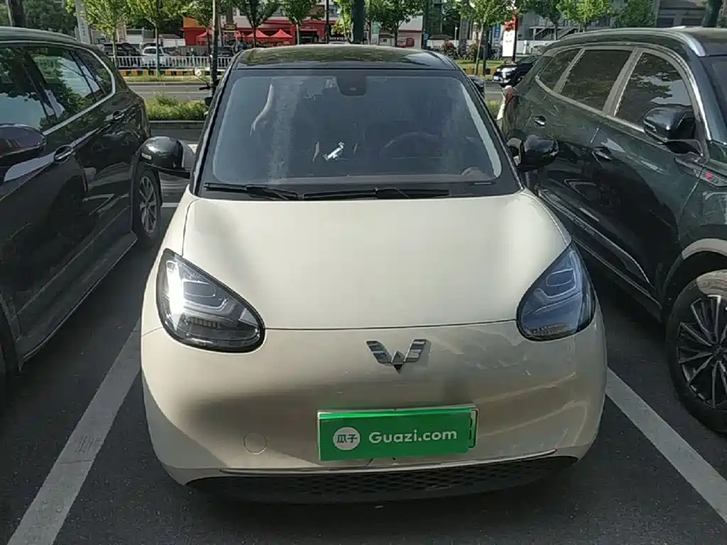 Wuling Binguo 2023 333km