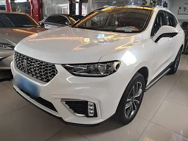 2021 Wey VV5