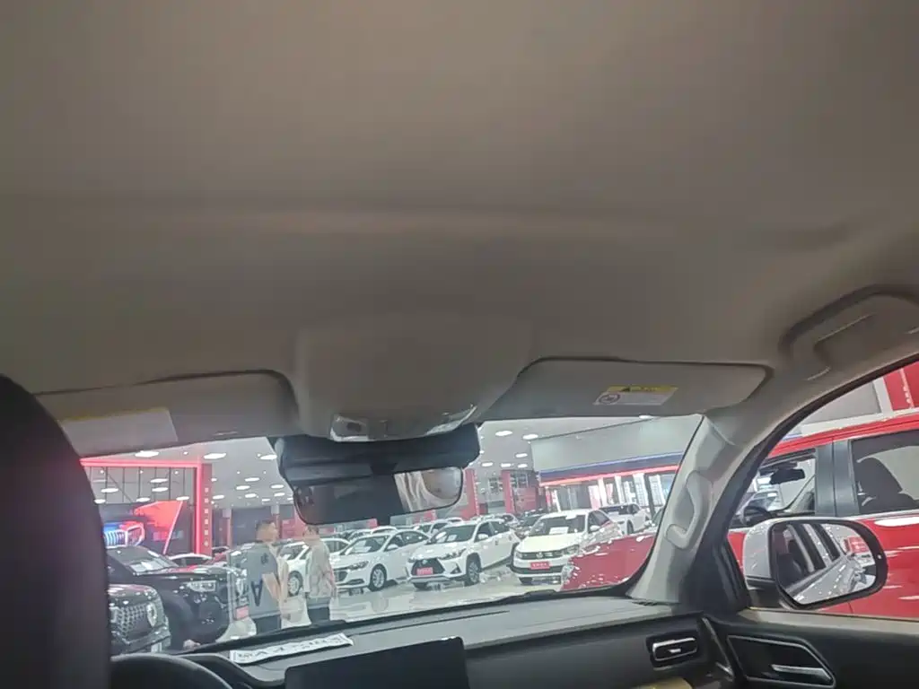 Great Wall Pao — миниатюра 18