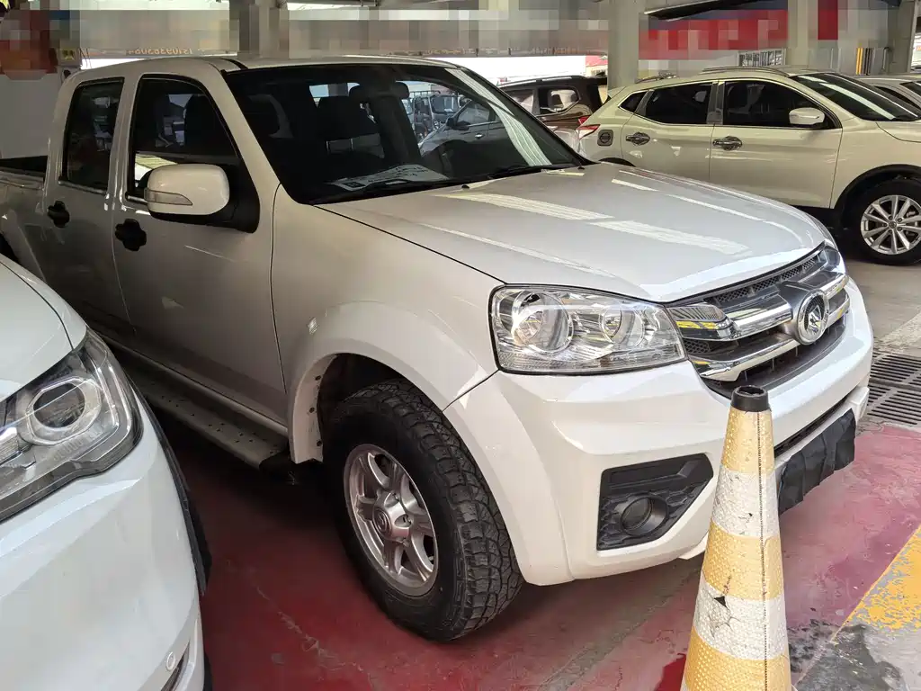 GREAT WALL FENGJUN 5