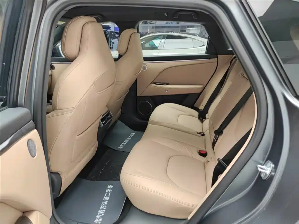 ARCFOX EXTREME FOX POLAR FOX ALPHA T5