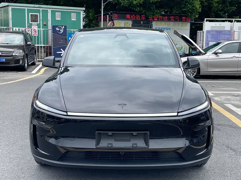 Tesla Model Y — миниатюра 2