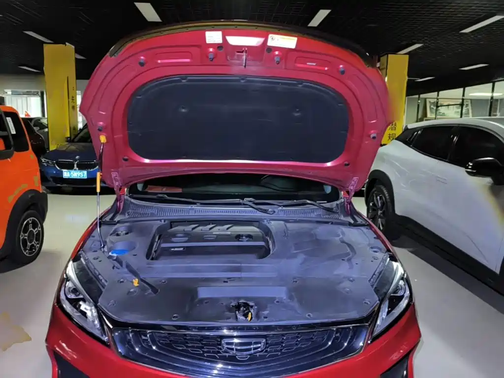 Geely Binrui — миниатюра 20