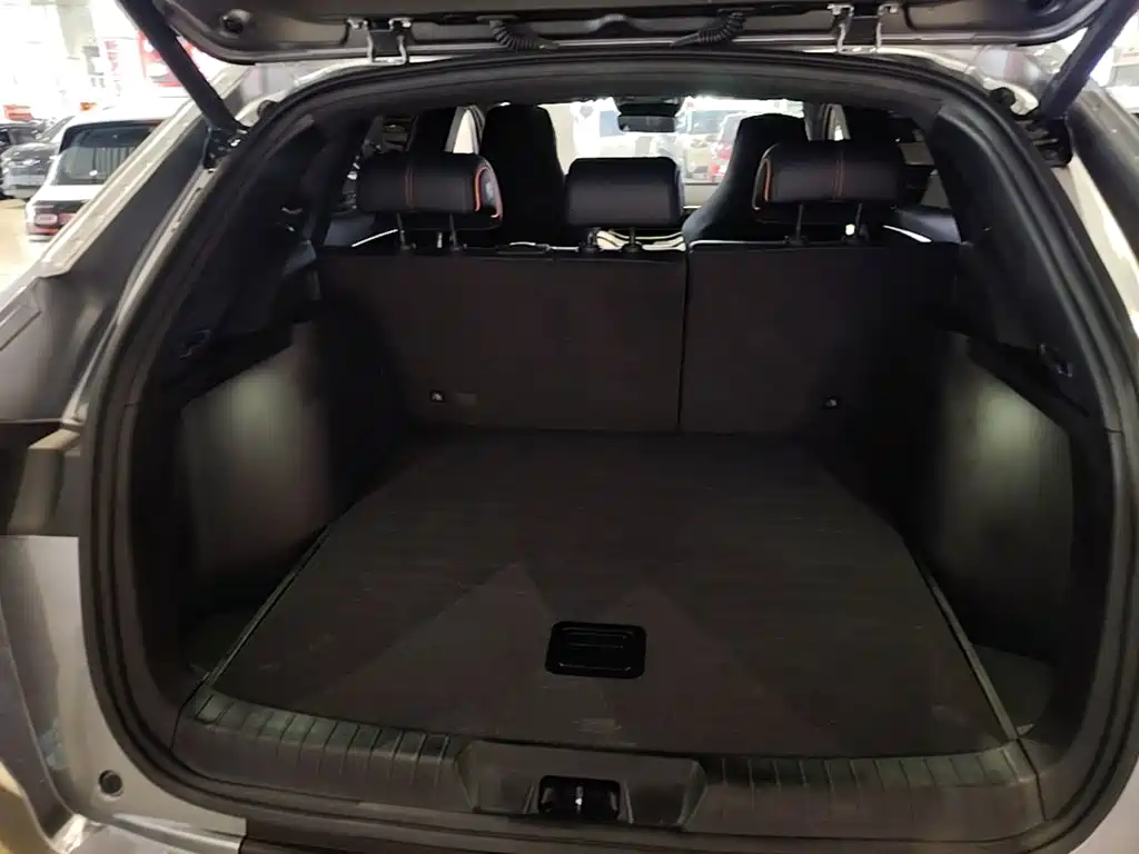 BYD PLUS New Energy — миниатюра 19