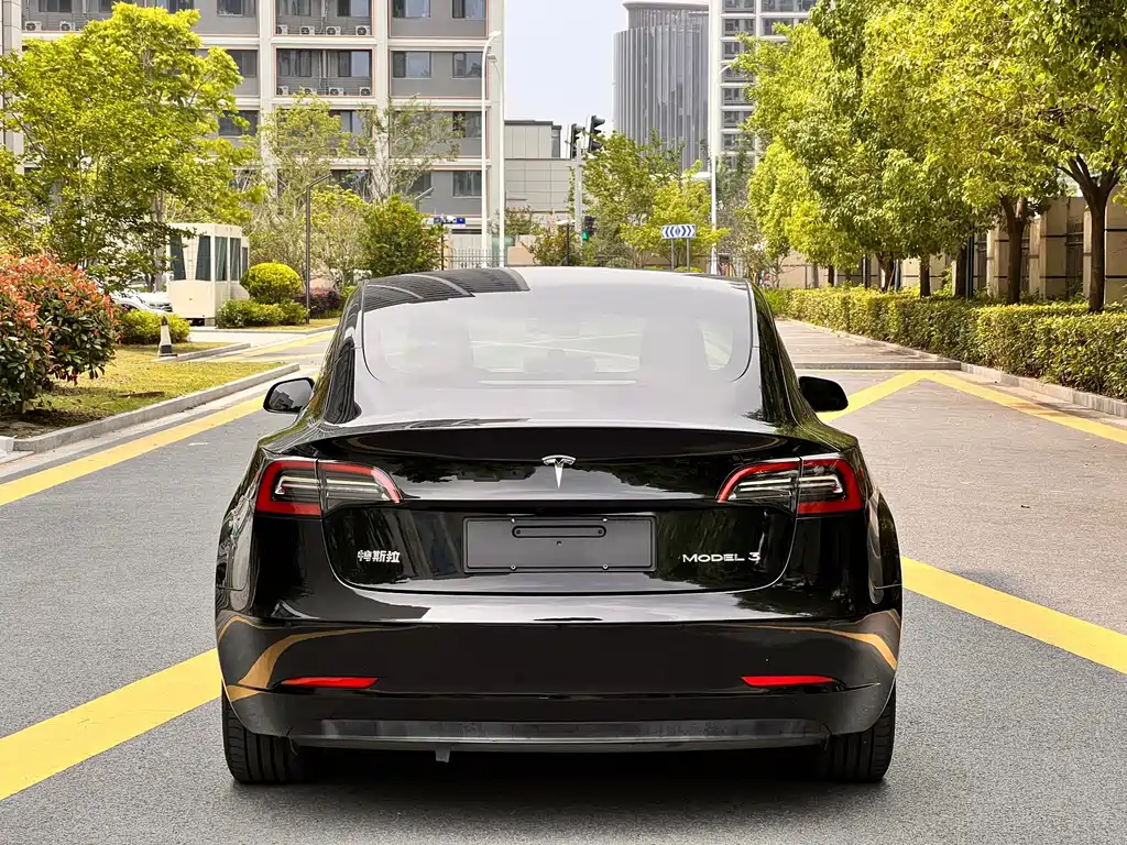 Tesla Model 3 — миниатюра 14