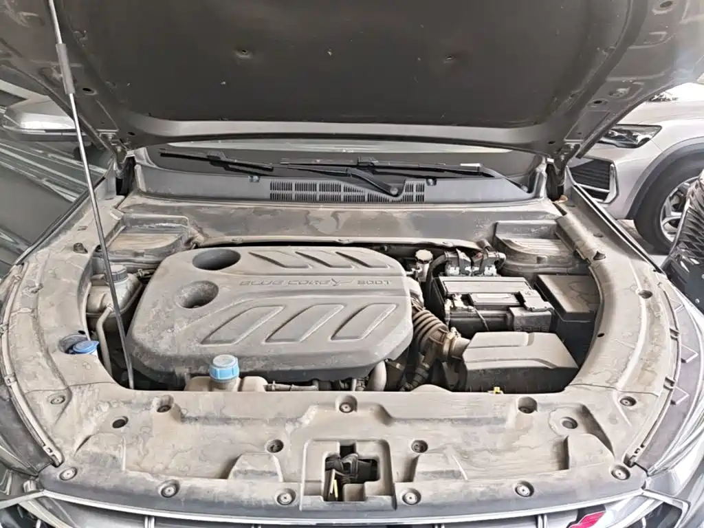 Oshan Oushang X5 — миниатюра 20