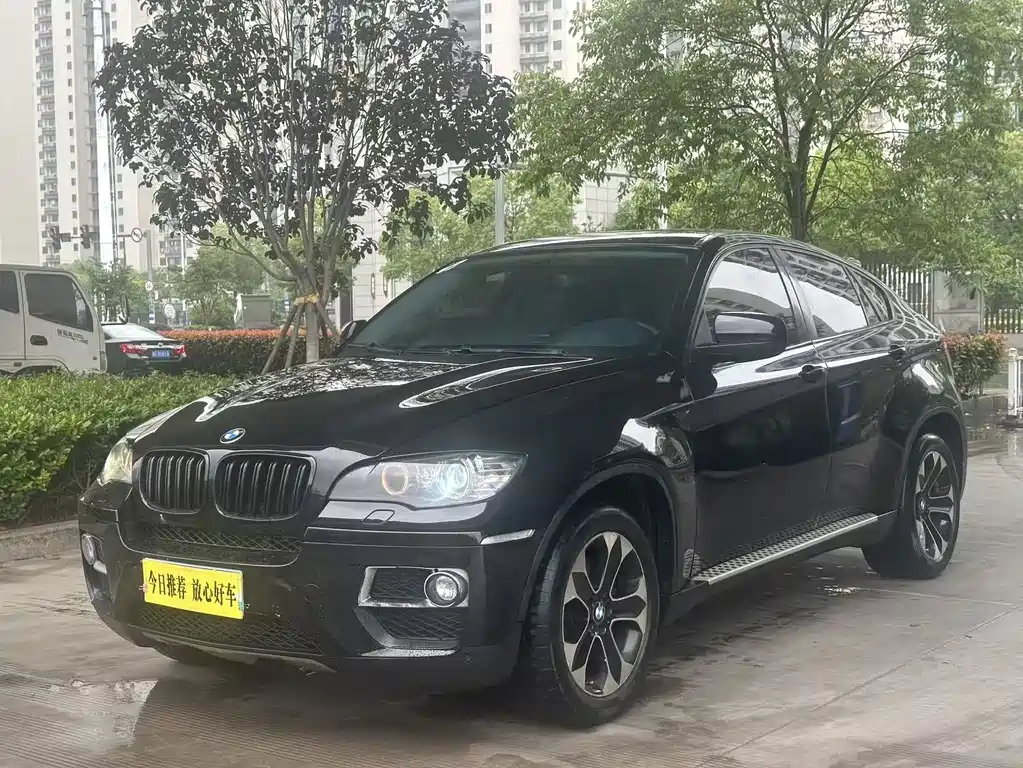 BMW X6 2010