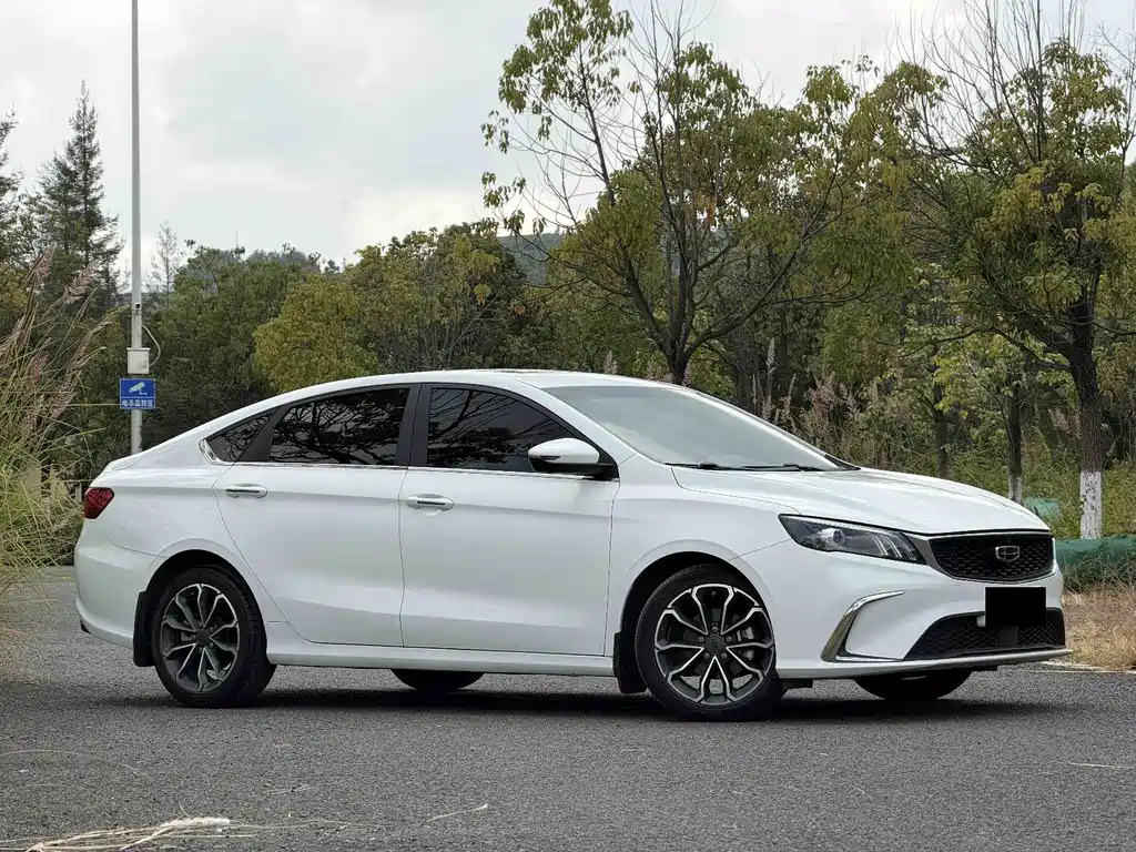 Geely Binrui — миниатюра 2