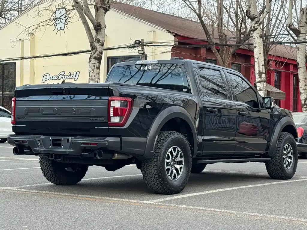 FORD F 150 RAPTOR