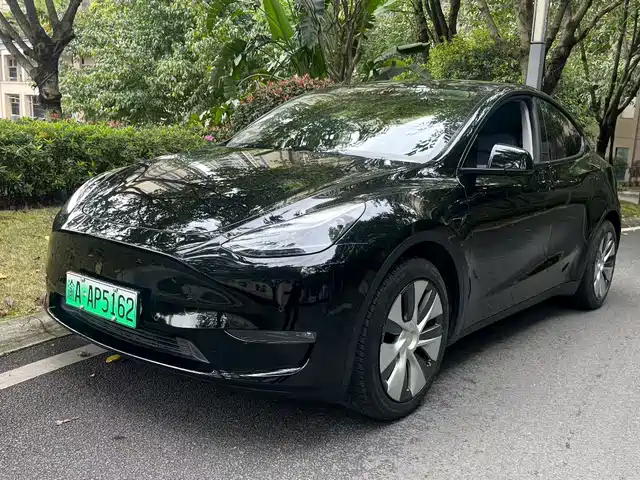 TESLA MODEL Y 2021