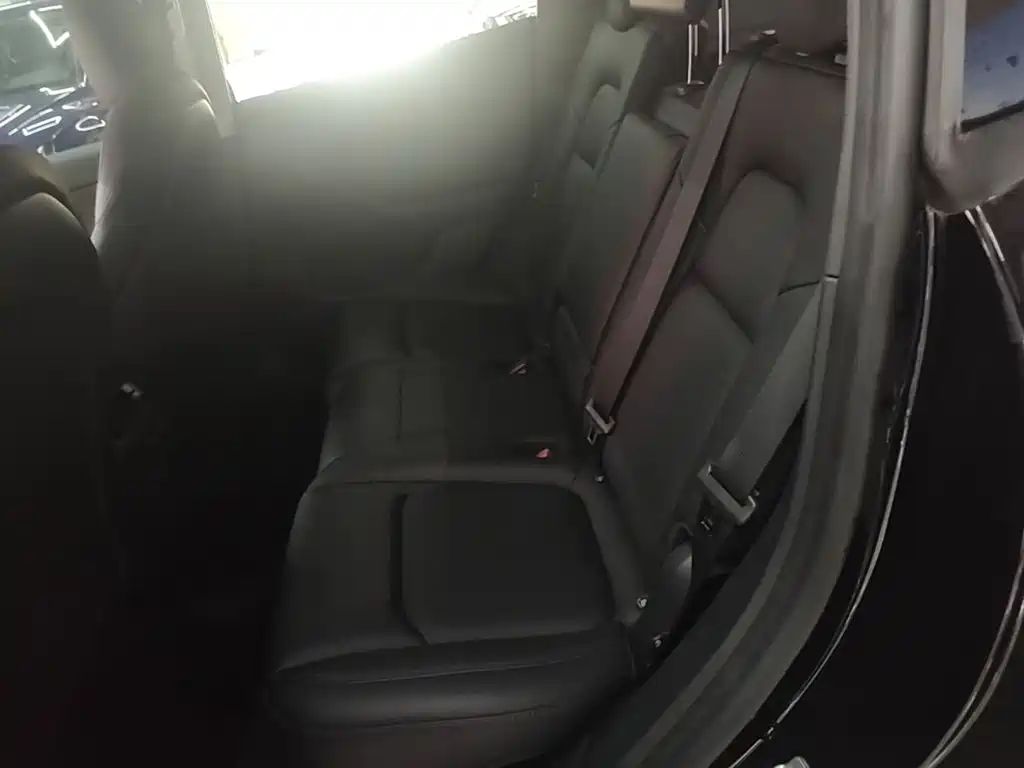 Tesla Model Y — миниатюра 17