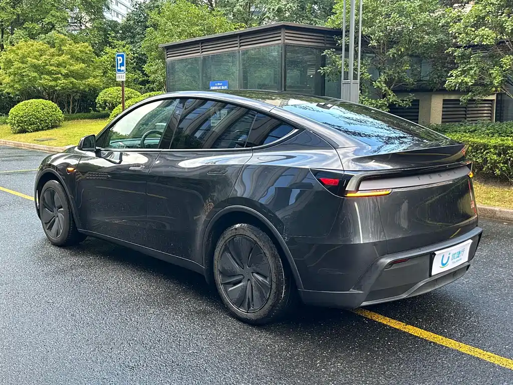 Tesla Model Y — миниатюра 6